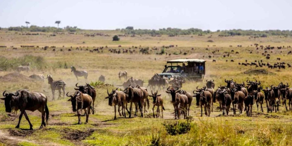 Combined March Safaris