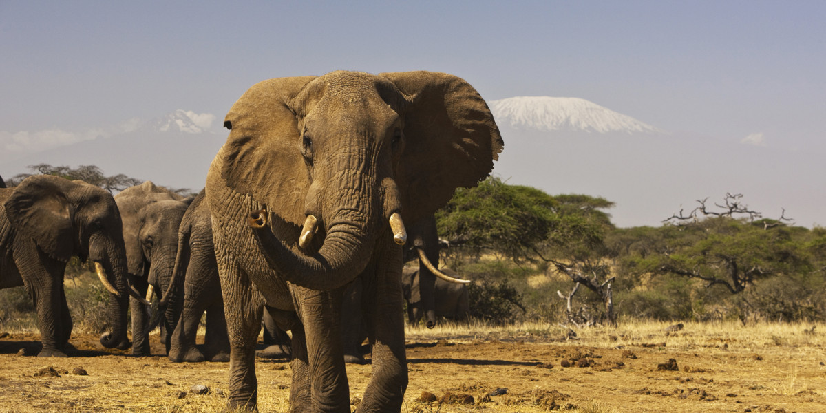 6. Amboseli National Park, Kenya