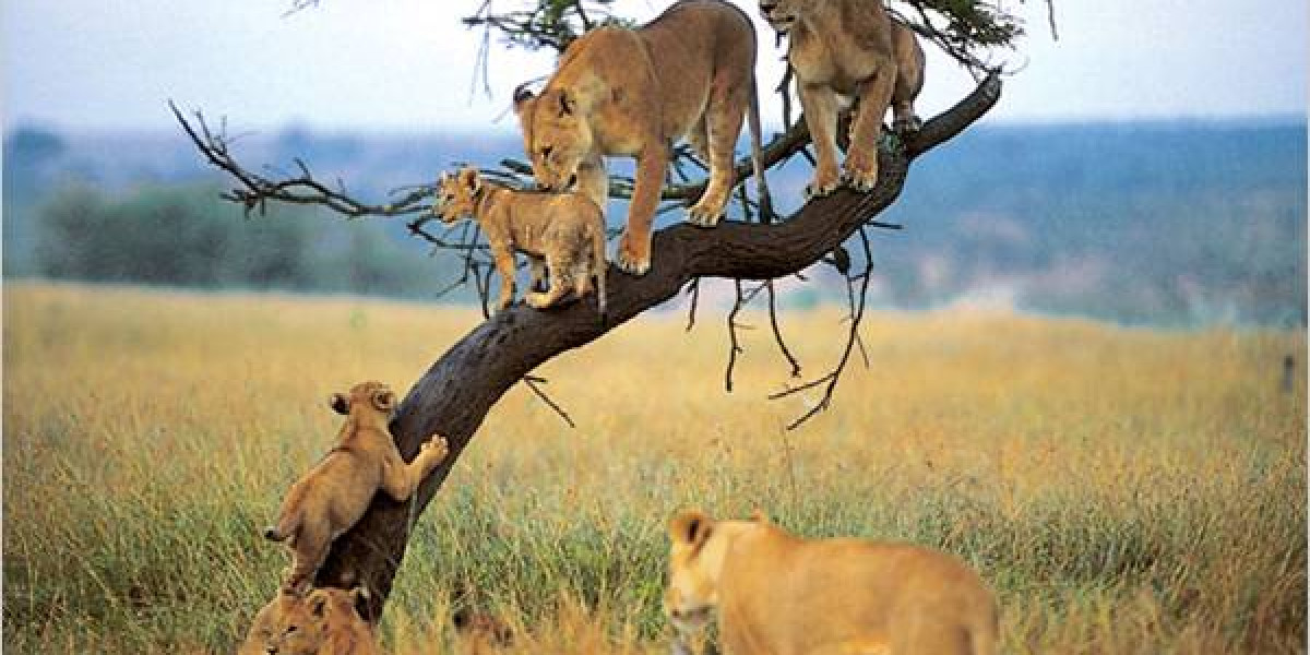 4. Lake Manyara National Park