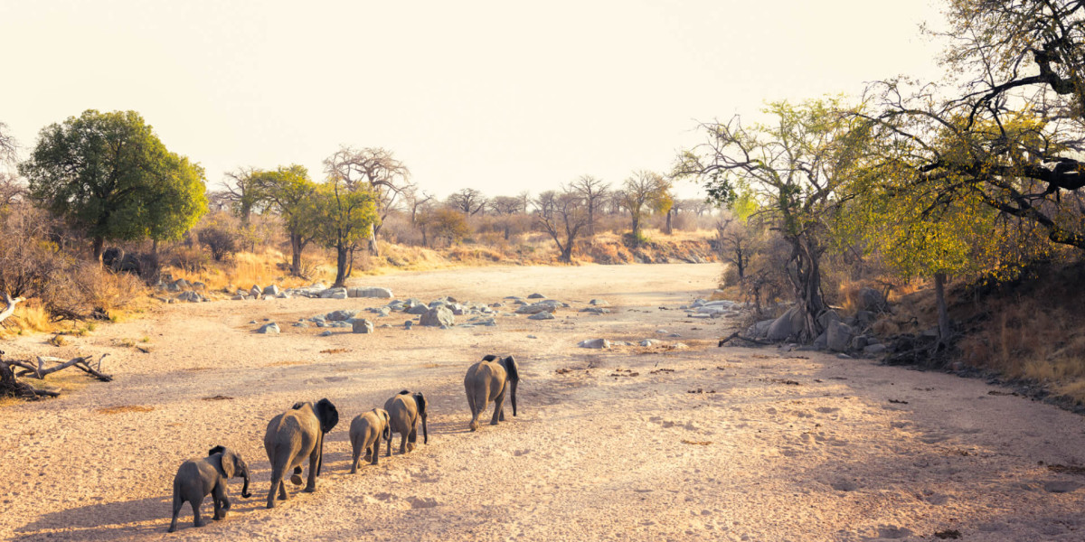 5. Ruaha National Park