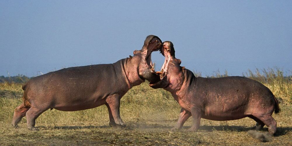 7. Katavi National Park