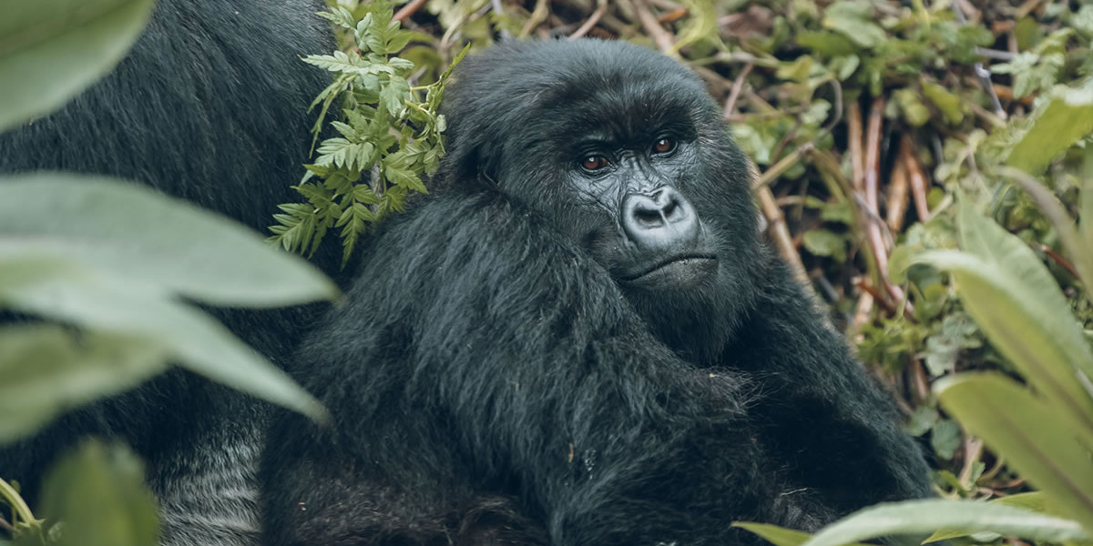 So, When Is the Best Time?