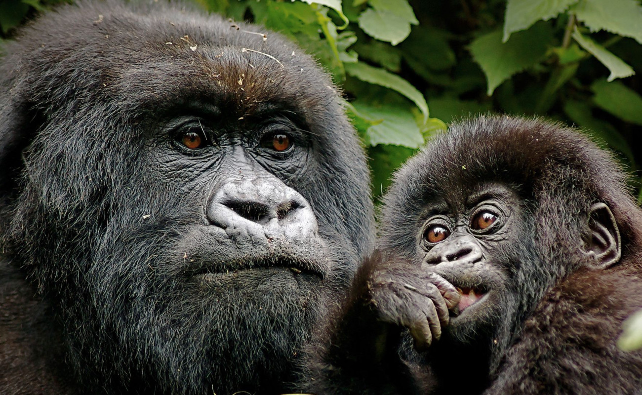 Best Places to Visit in Rwanda