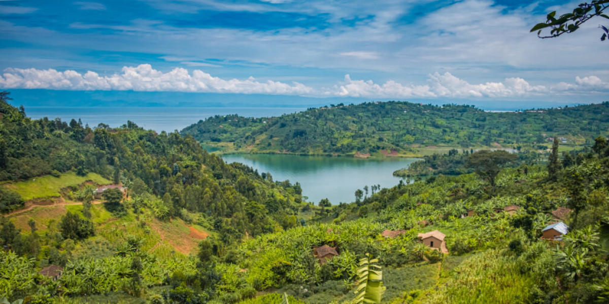 5. Diverse Landscapes in Every Direction