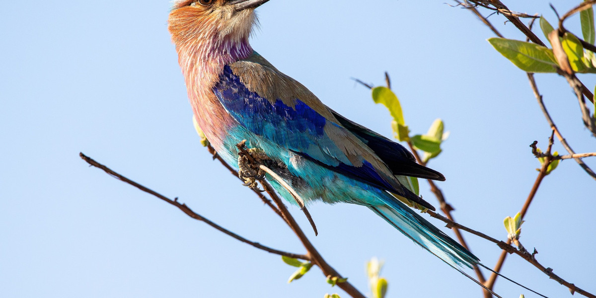 1. Choose the Best Time to Visit