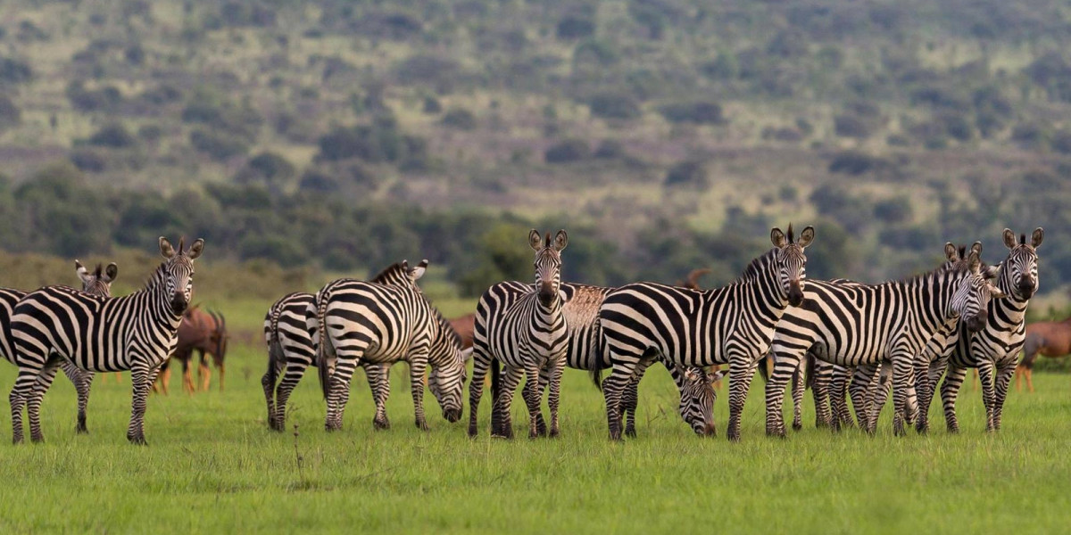 2. Define Your Must-See Destinations