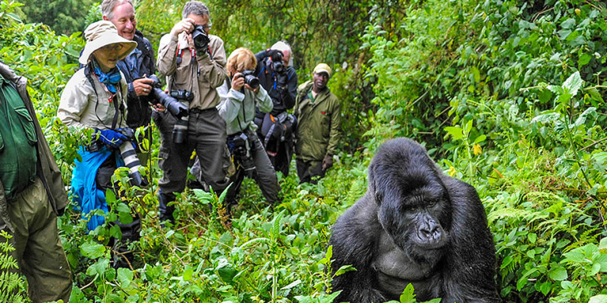 3. Set a Budget for Your Adventure