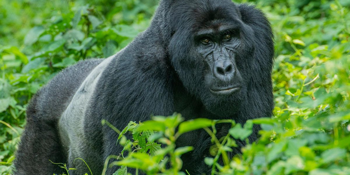 A Once-in-a-Lifetime Destination