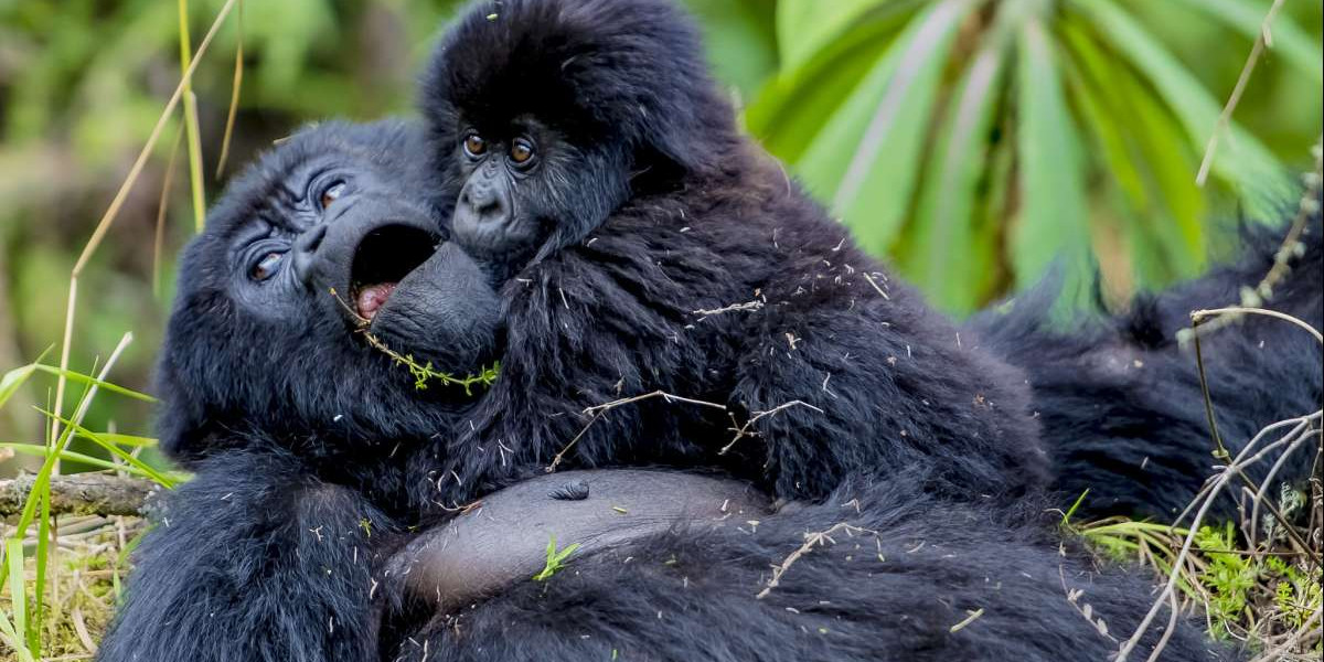 The Best Overall Time