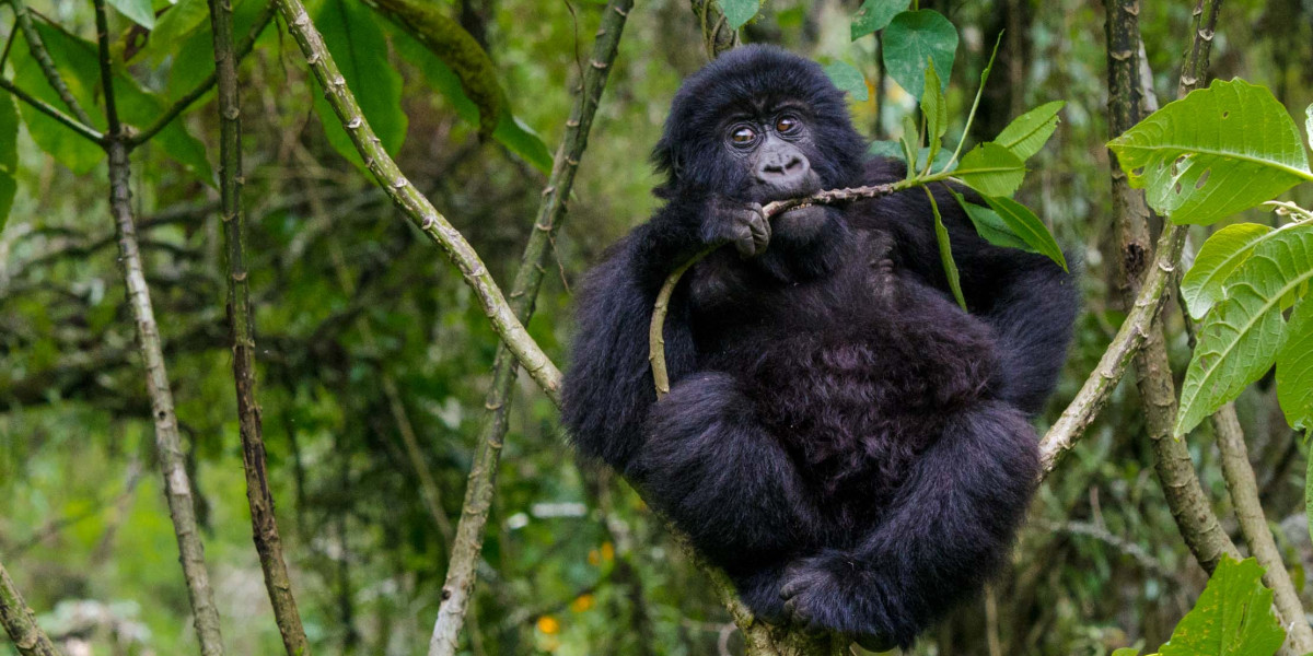 Choosing the Right Time for You