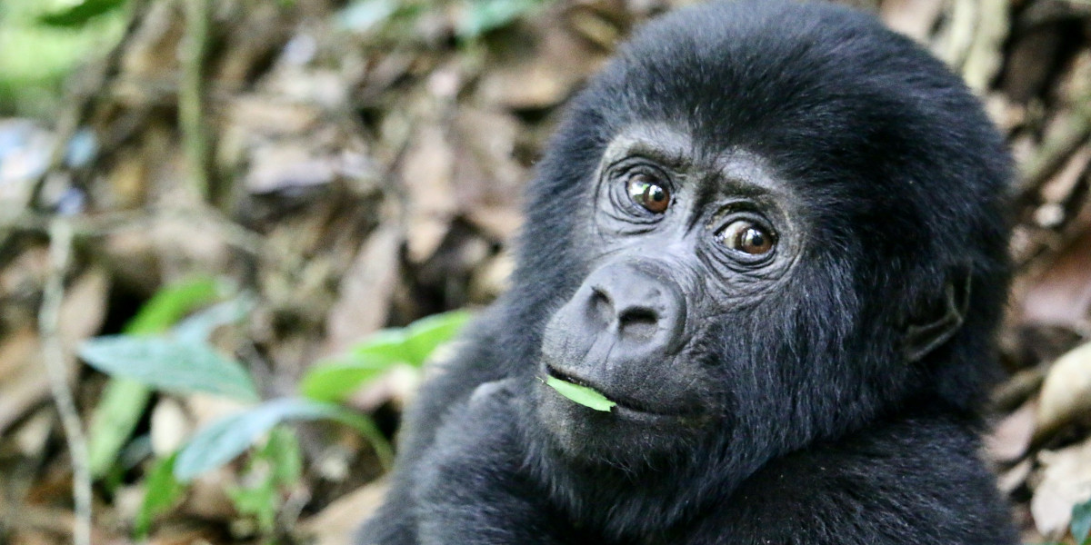 A Year-Round, Life-Changing Experience