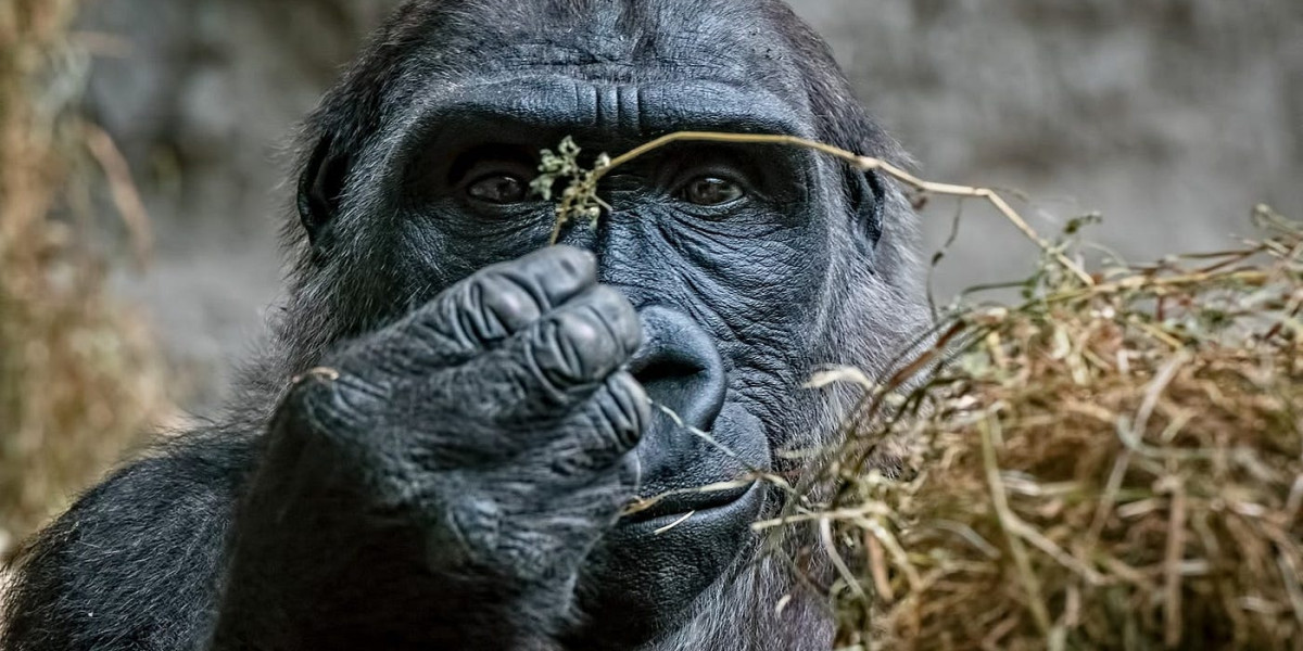 Be Patient and Stay Present