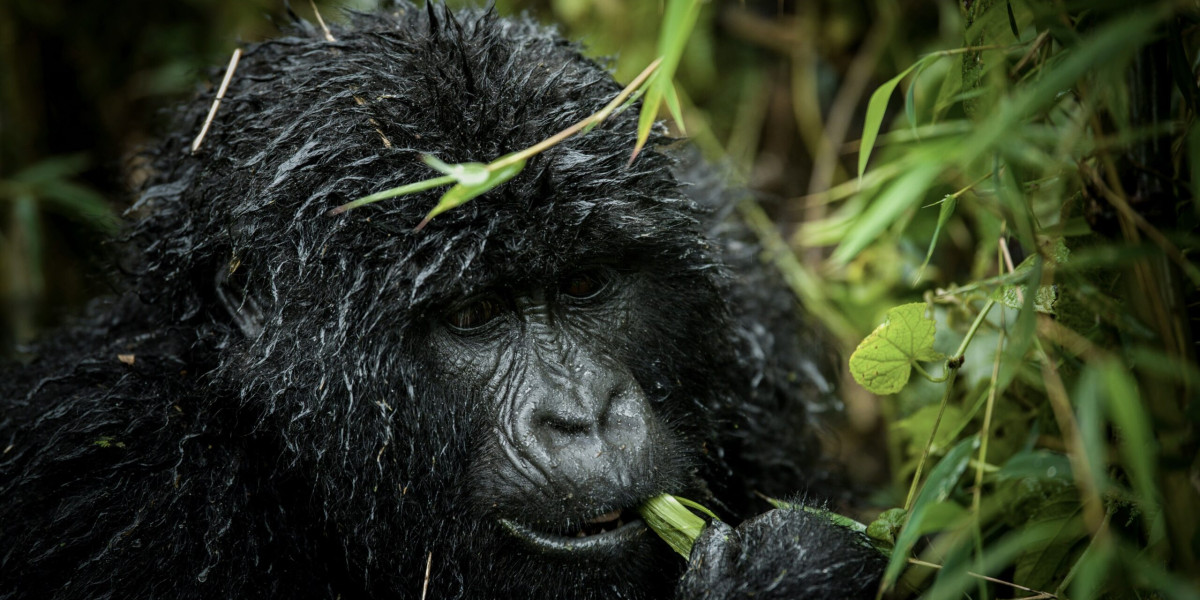 Respect Distance and Ethics