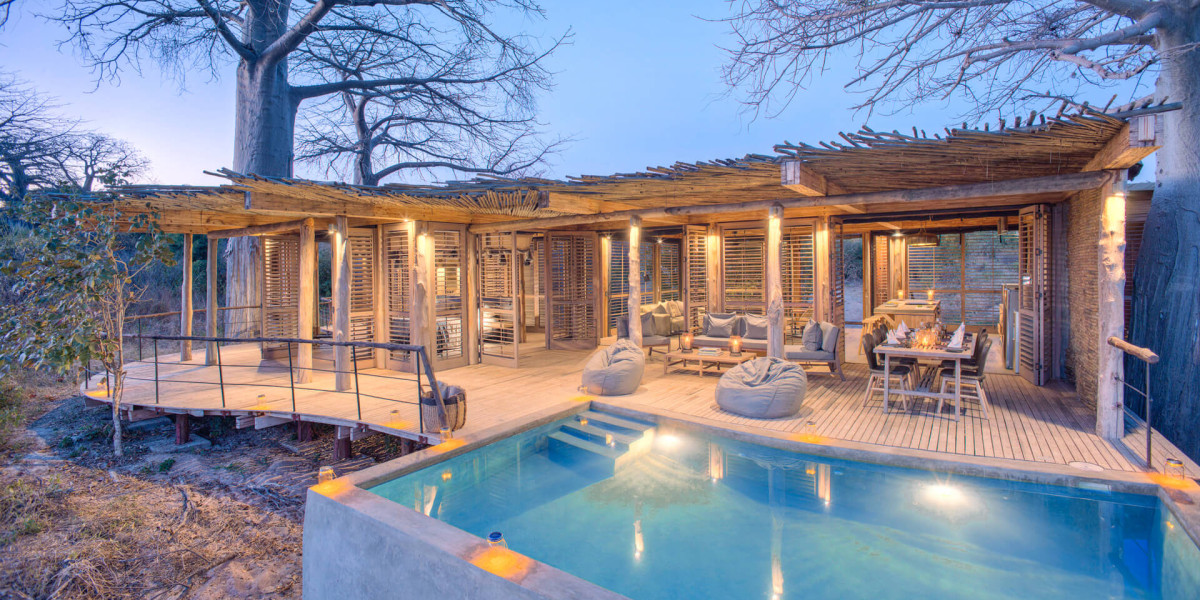 Choosing the Right Season for Your Safari Goals