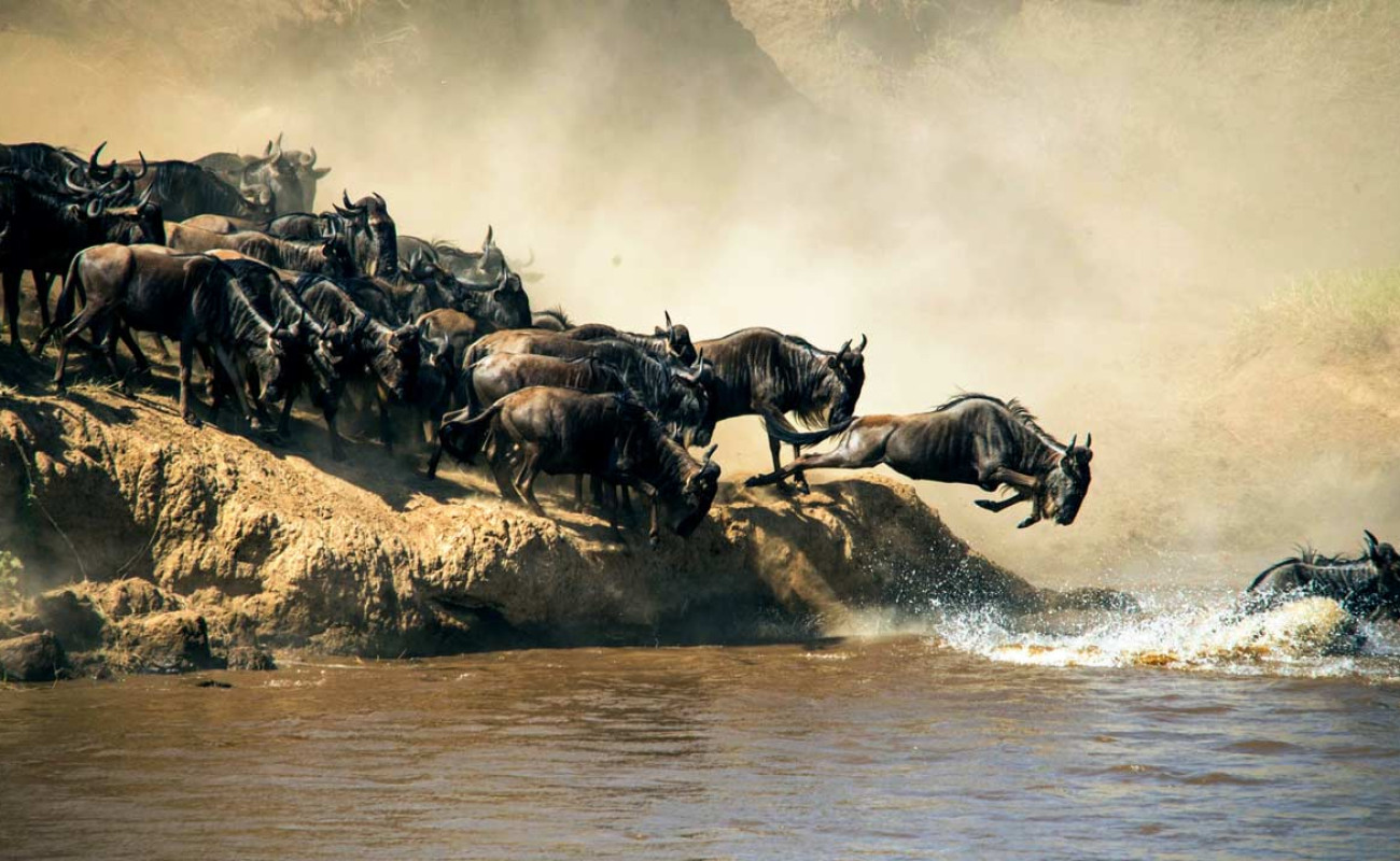The Great Migration Safaris