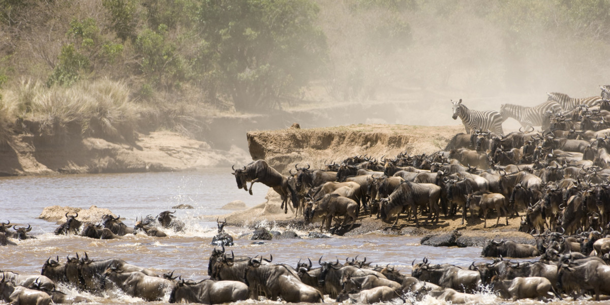 3. Northern Serengeti National Park & Masai Mara National Reserve