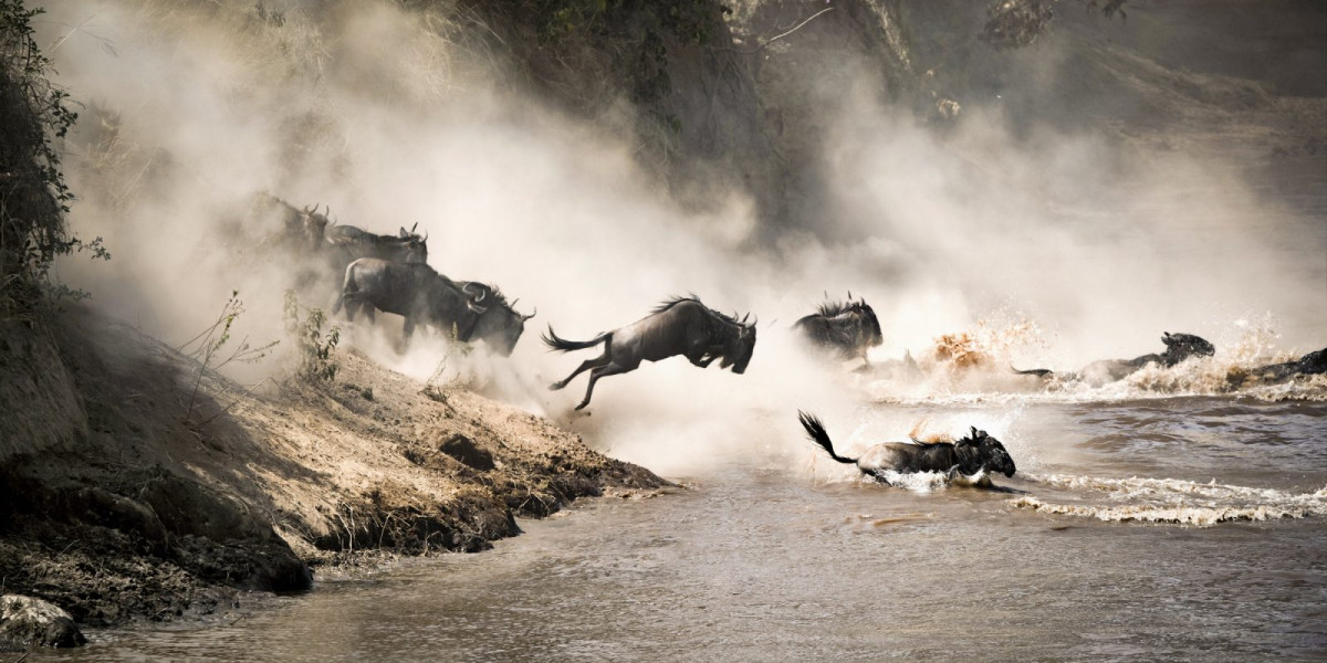 Why the Great Migration Is Unique