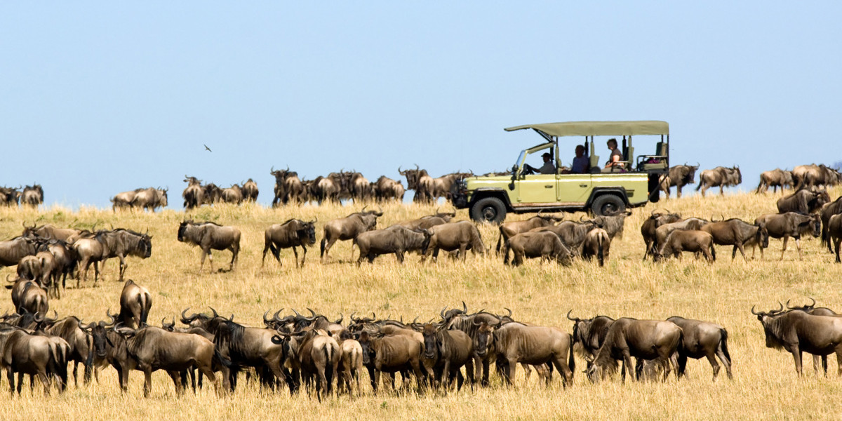 4. Central Serengeti National Park