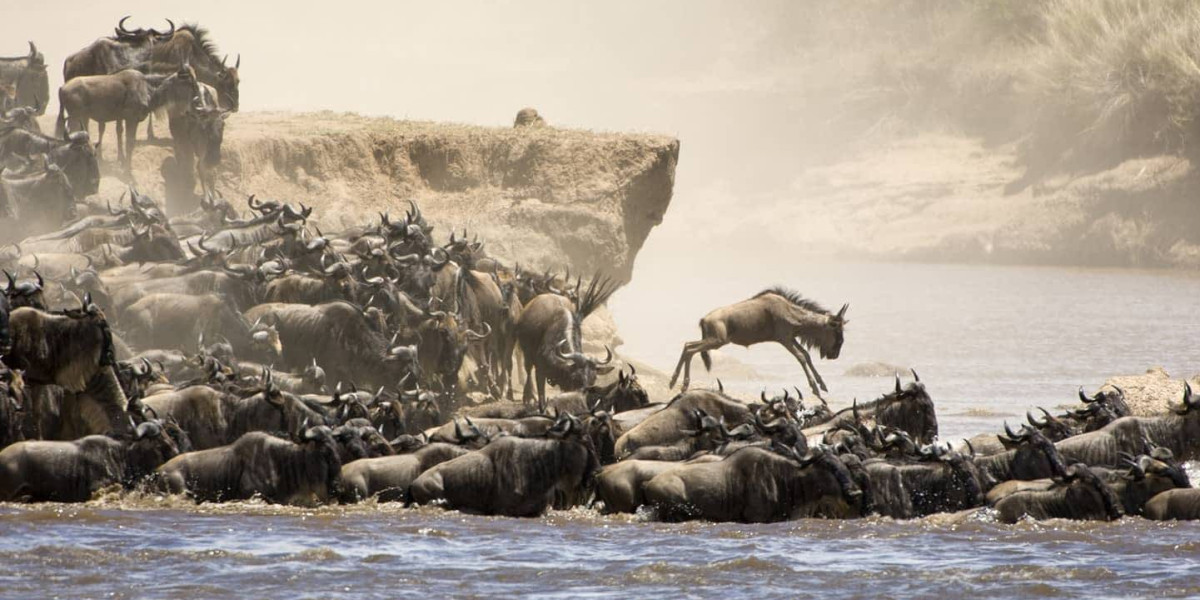 The River Crossing Season — July to October