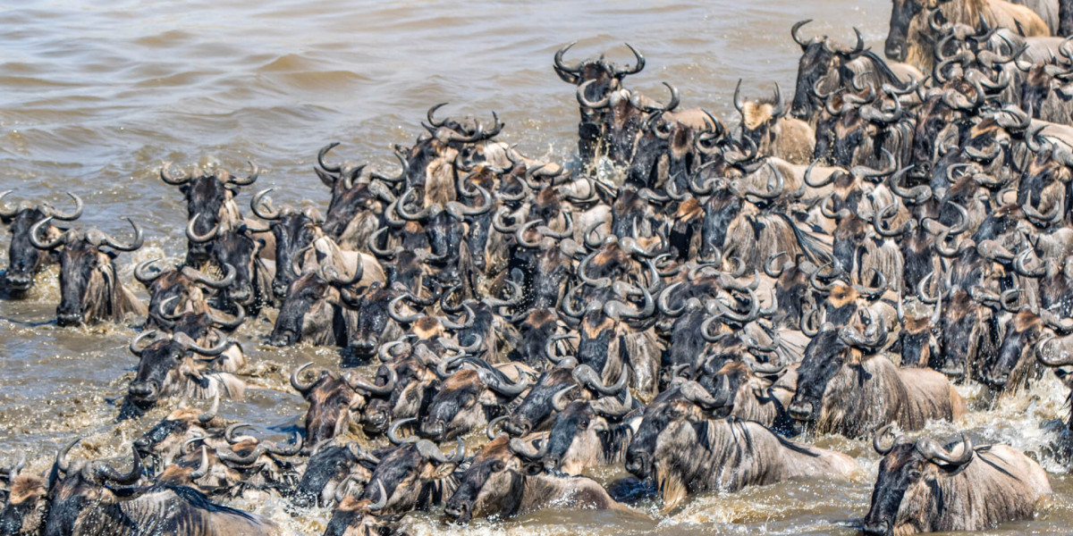 Experiencing the Great Migration with Precision