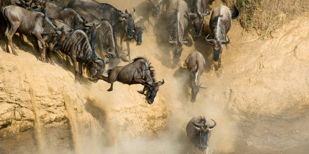 The Ultimate Test of Survival