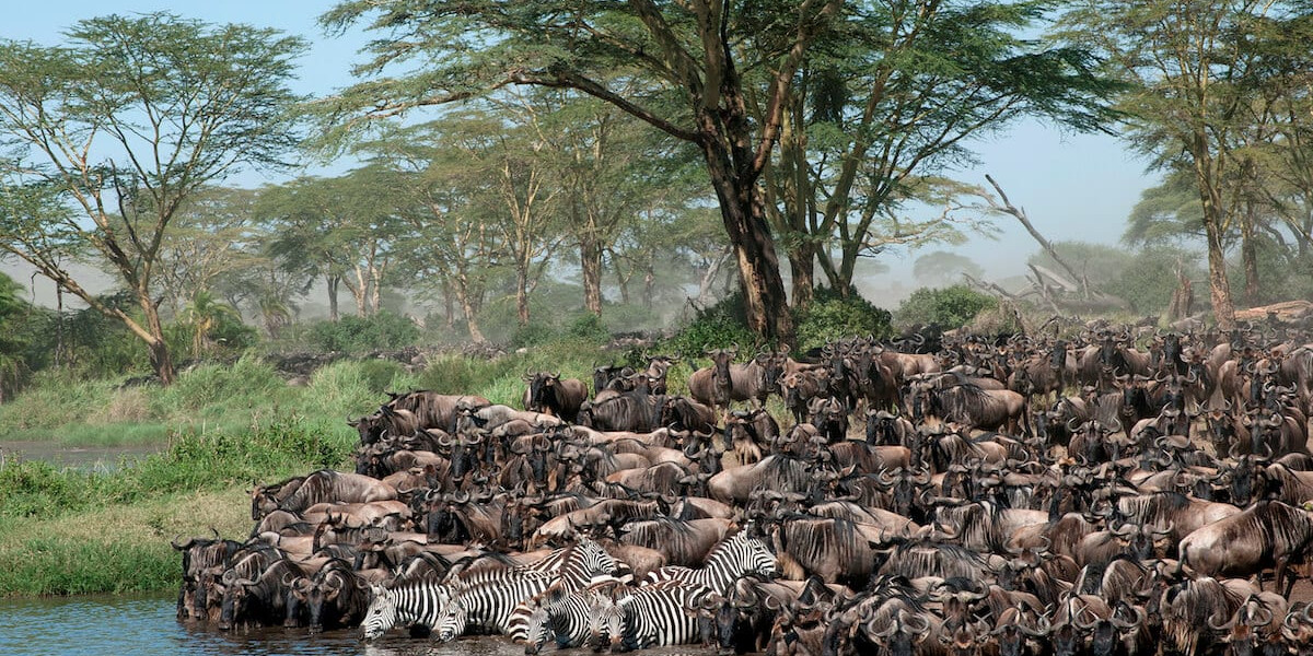 Experience the River Crossings with Eagle Soul Adventure