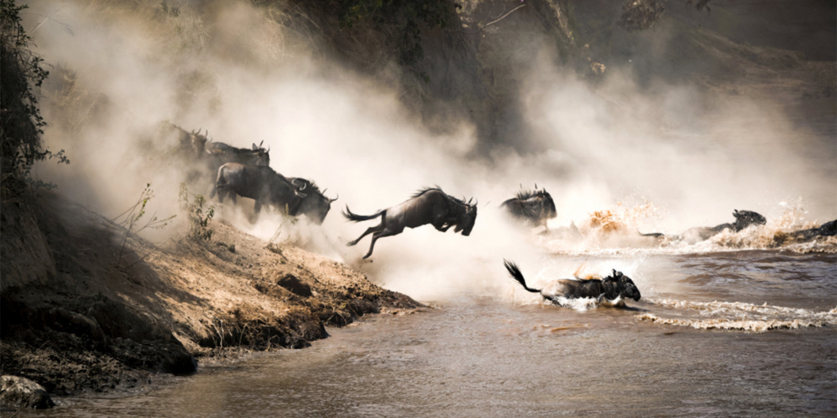 July to October – The Iconic River Crossings (Northern Serengeti)