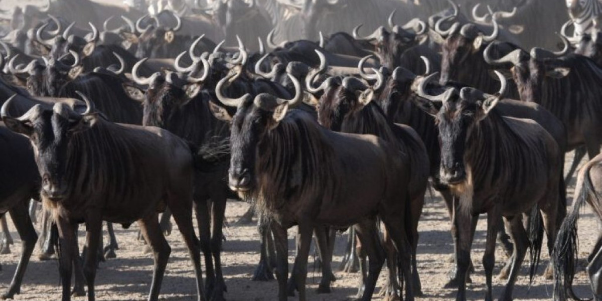 Plan Your Journey with Purpose