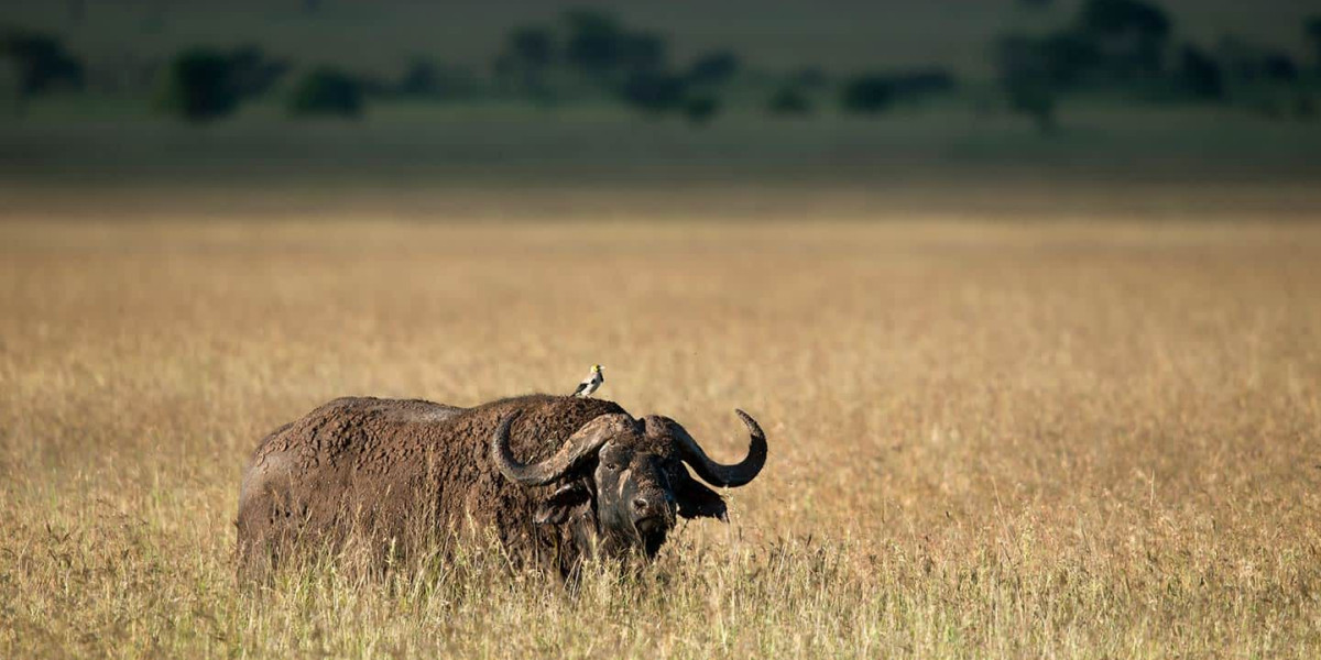 November to December – Transition and Opportunity