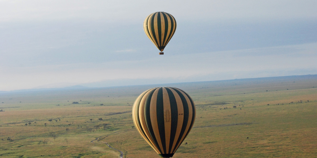 04. The Untamed Southern Wilderness