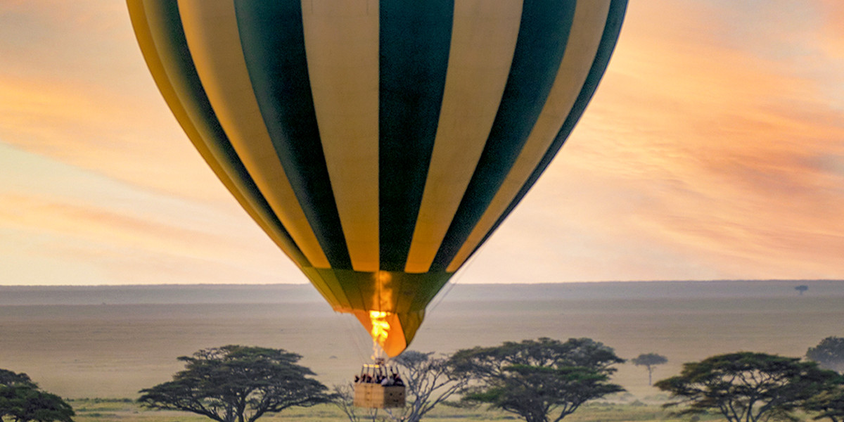 Choose Your Sky Safari