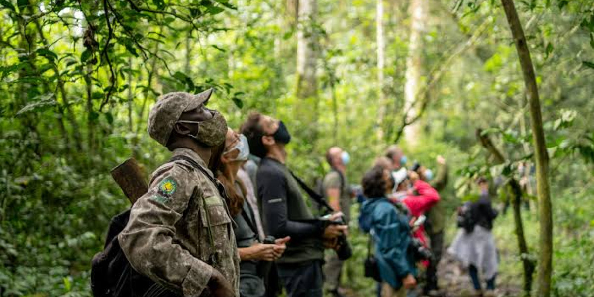 Country-Specific Health Overview