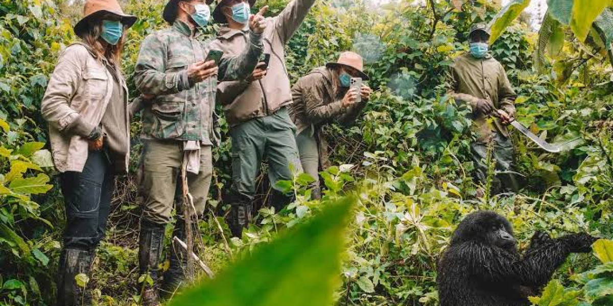 Special Considerations for Gorilla Trekking