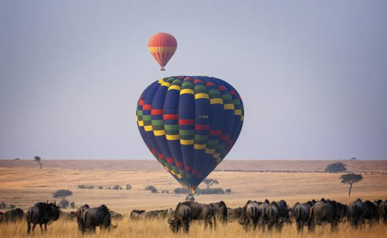 Best Time to Visit Masai Mara National Reserve