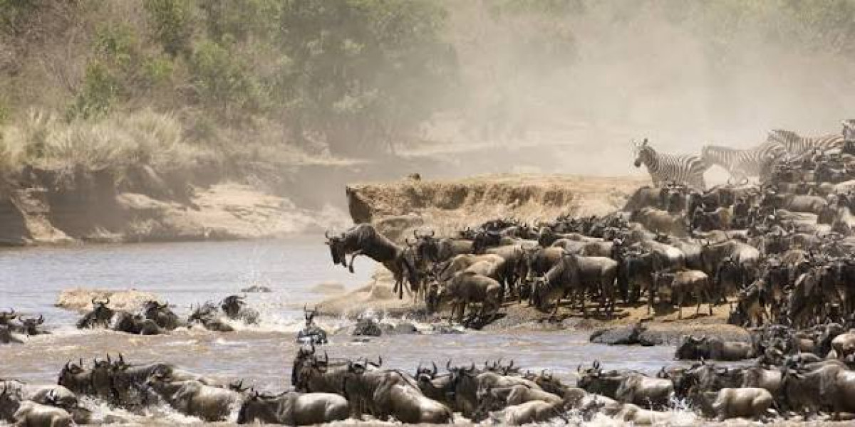 July to October – The Great Migration and Peak Safari Experience