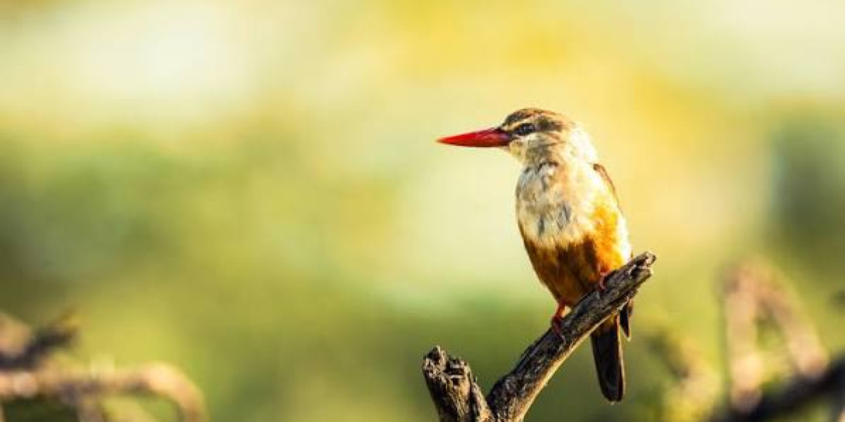 March to May – Quiet Luxury and Untouched Landscapes