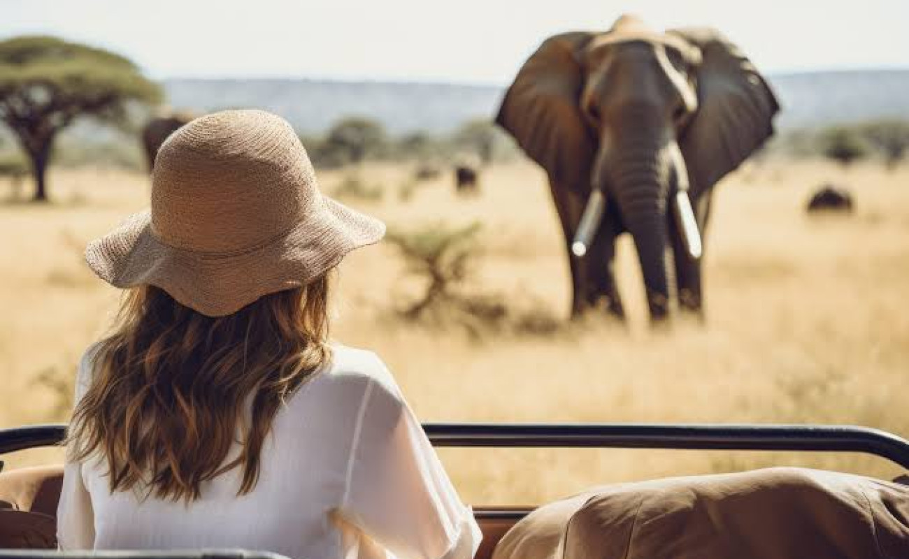 Best Time to Visit Amboseli National Park