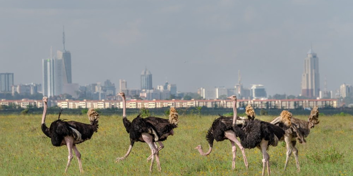 May to October – Clear Conditions and Resident Species