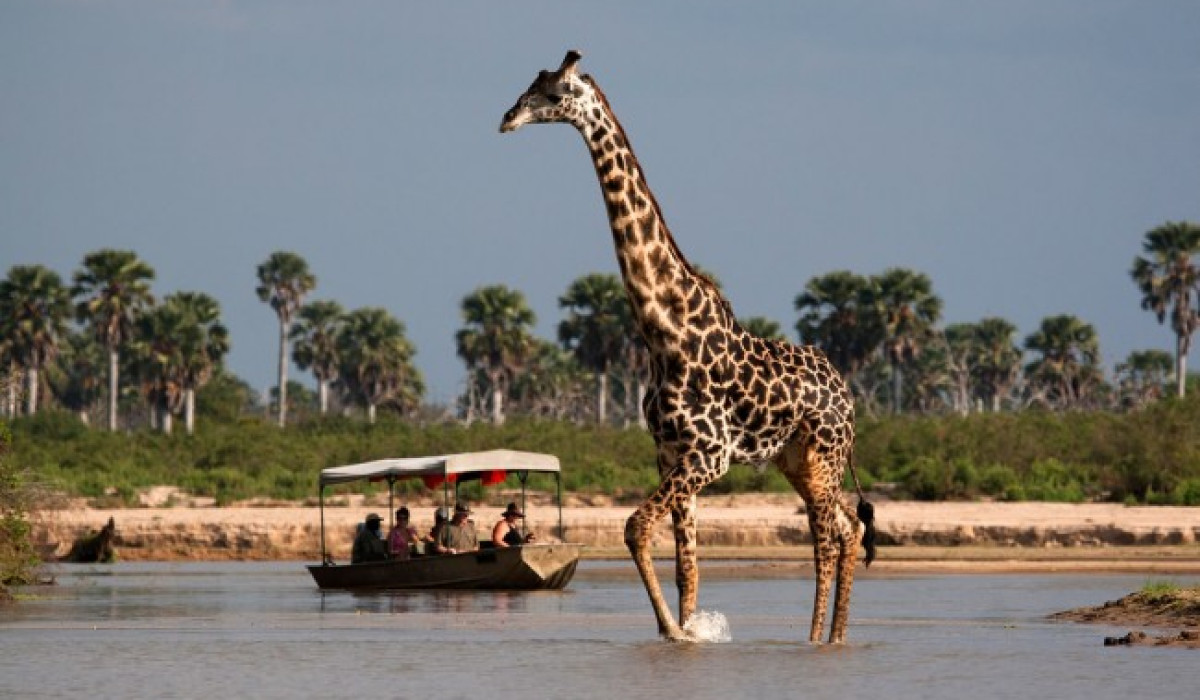 boat safaris