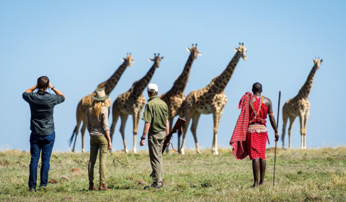 walking safaris
