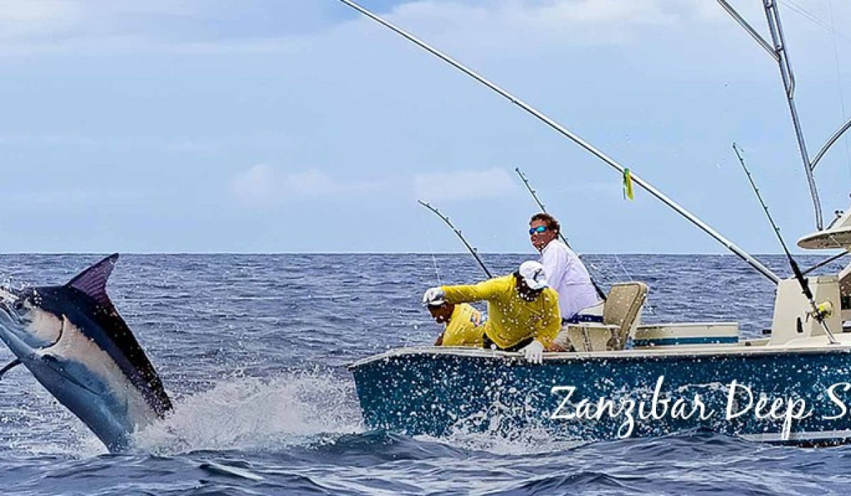 sport Fishing