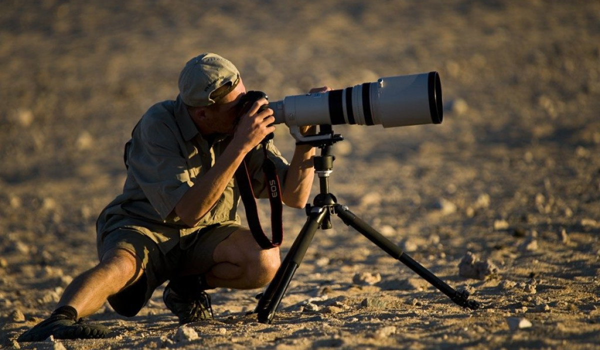 photography safaris
