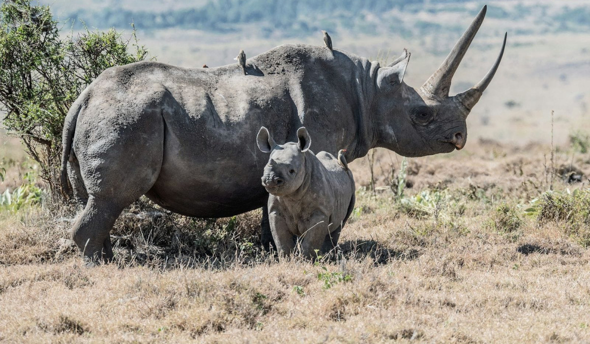 serengeti National Park