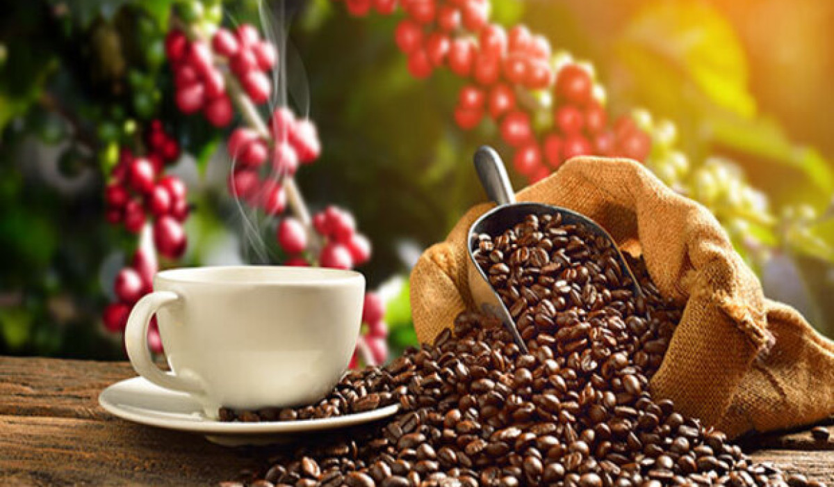 arusha-coffee-lodge-eaglesouladventure