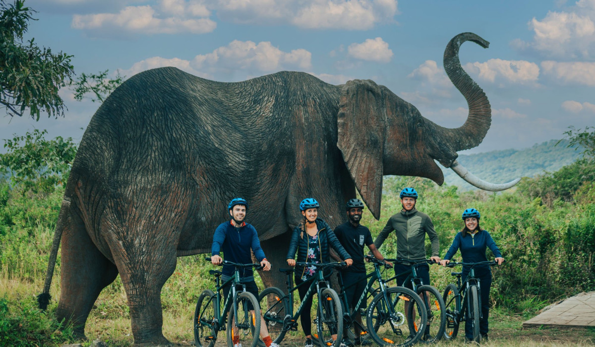 Sport Tourism