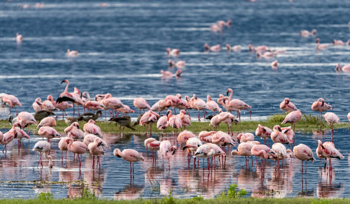 Lake Nakuru National Park