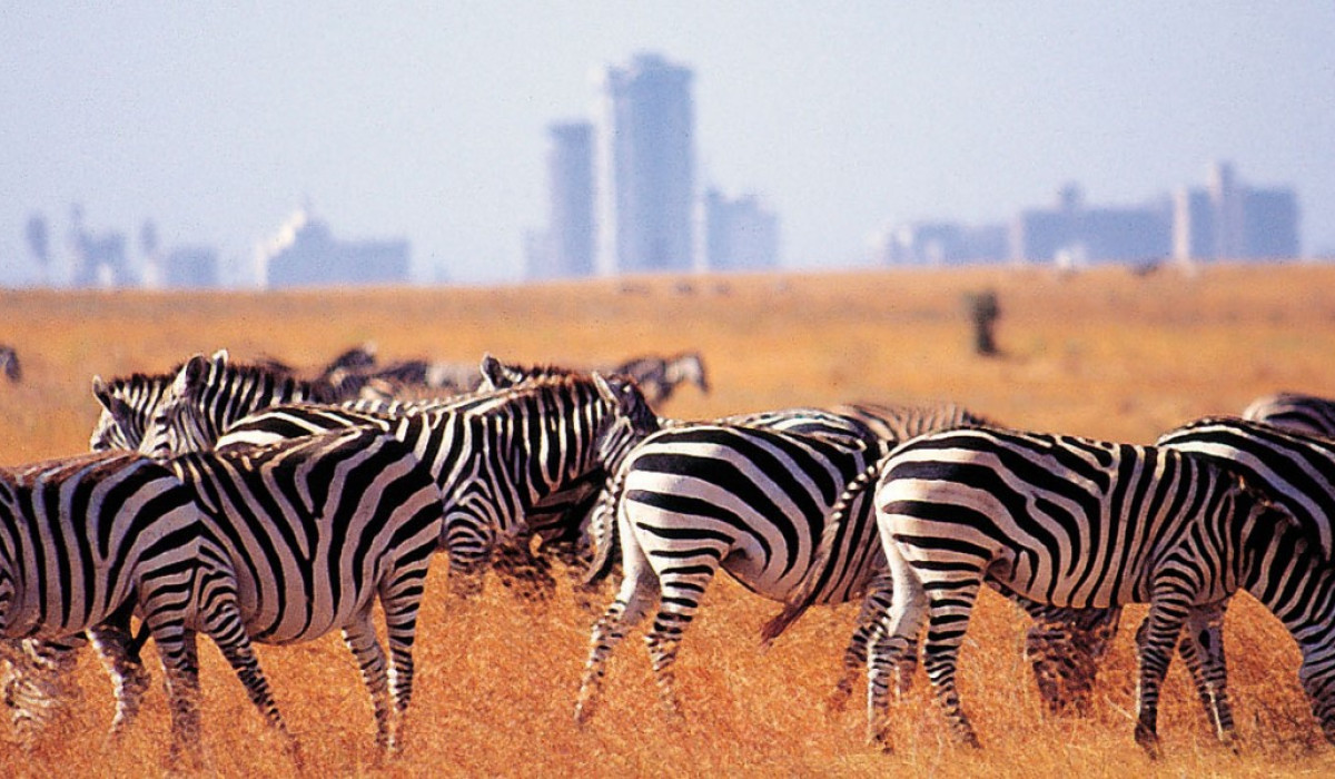 Nairobi National Park