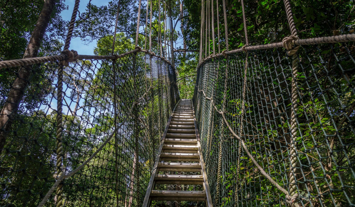 Lake Manyara National Park