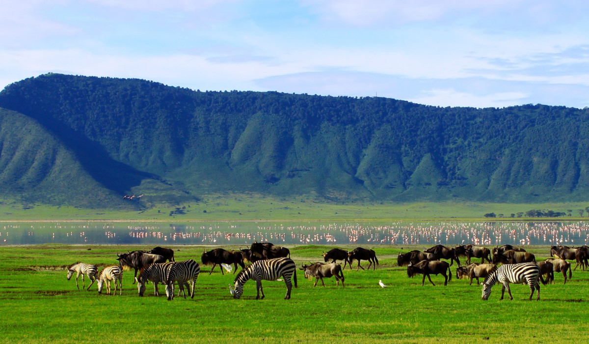 Ngorongoro Crater