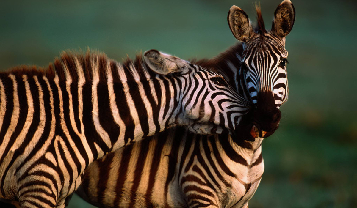 Ibanda-Kyerwa National Park